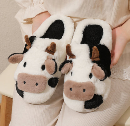 Cow slippers